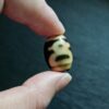 寶瓶達洛小天珠 雪域佛門聚財納福平安護身藏珠